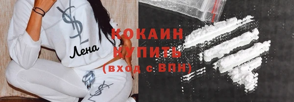 твердый Арсеньев