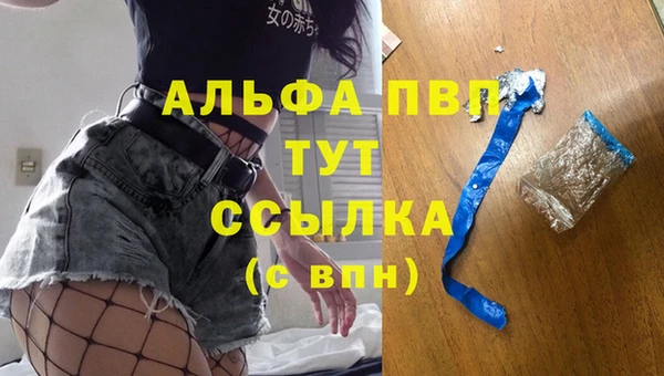 твердый Арсеньев