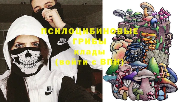 не бодяженный Аркадак