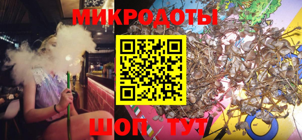 Сибай  Псилоцибиновые грибы Magic Shrooms  Галлюциногенные грибы Psilocybine cubensis  Вход с VPN 