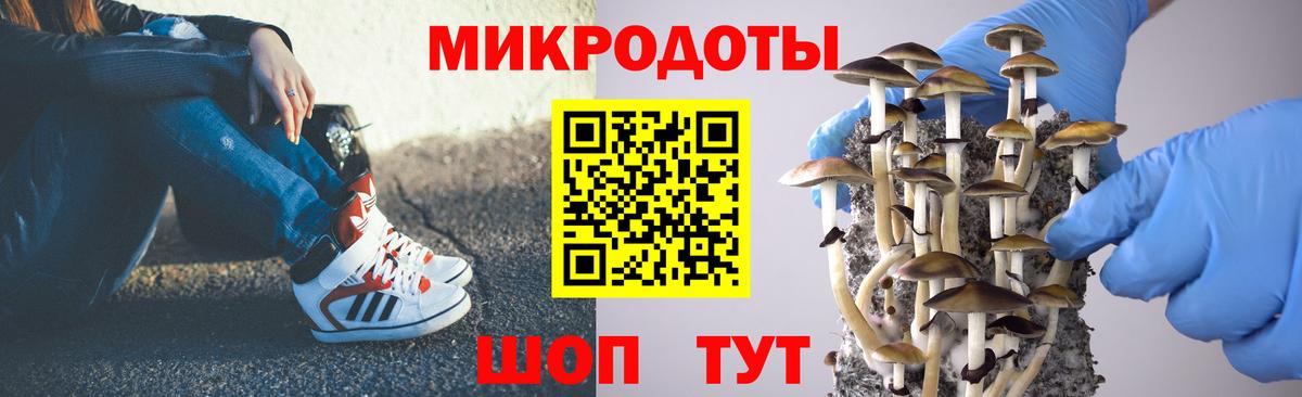 Галлюциногенные грибы мухоморы Сибай