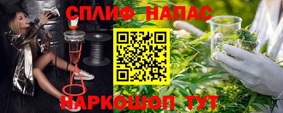 Бошки Шишки MAZAR Сибай